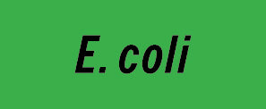 MicroSnap® E. coli