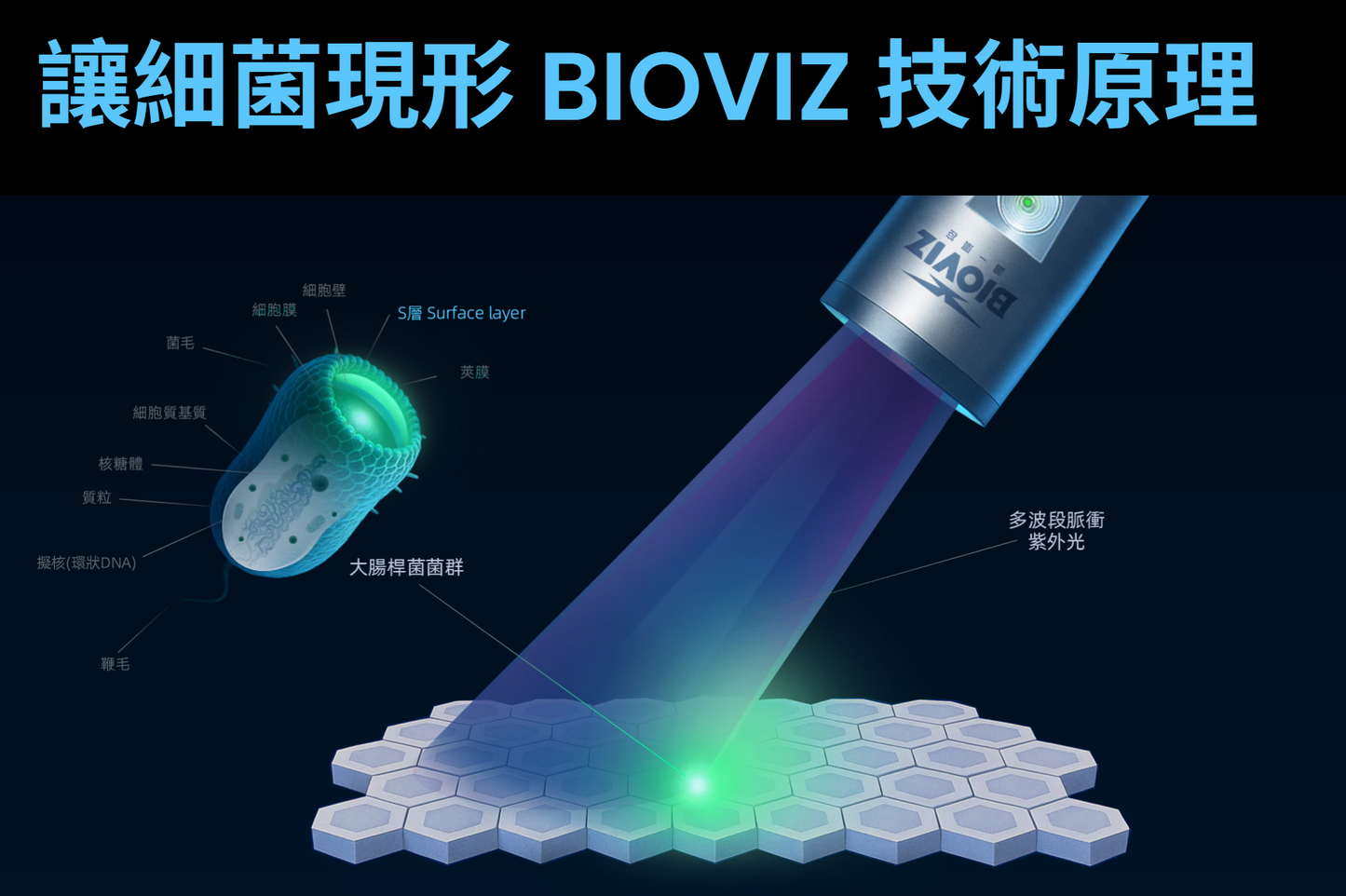 BIoUVision 細菌生物膜檢測儀
